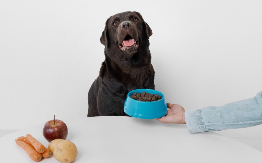 A happy dog enjoying a bowl of homemade kibble prepared with fresh ingredients