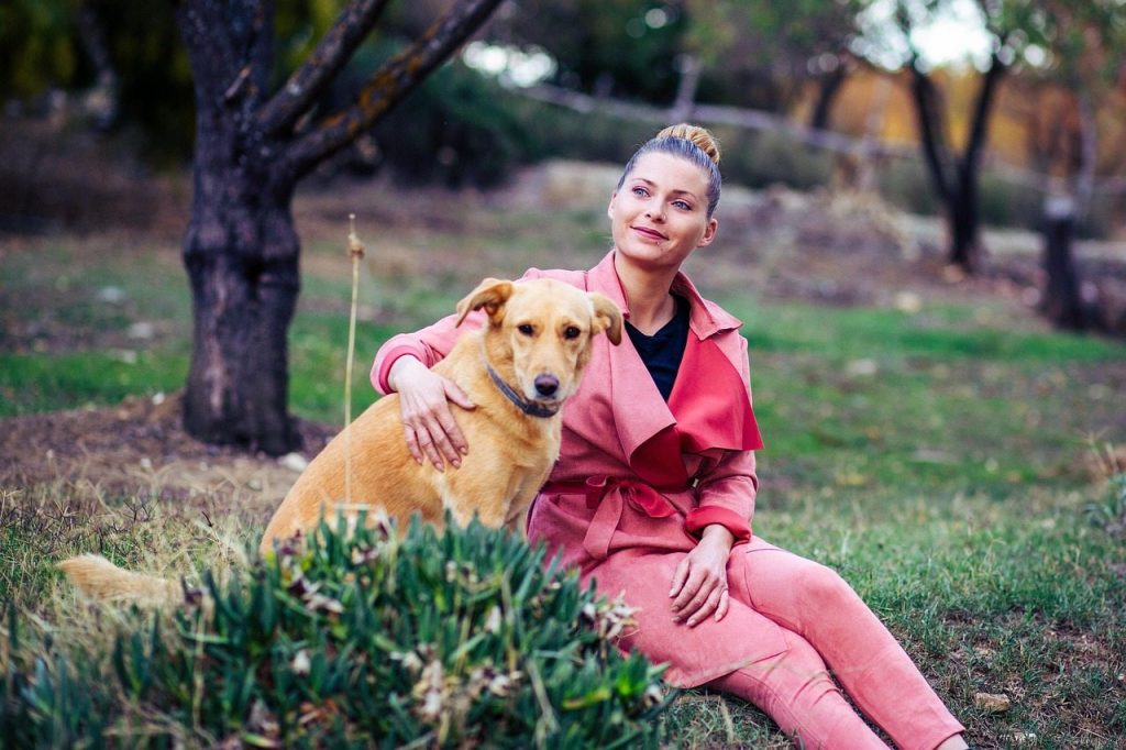 A dog sitting calmly next to its owner in nature symbolizing a relationship of trust and love