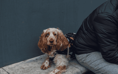 Punishing a Dog Means Punishing Ourselves the Most