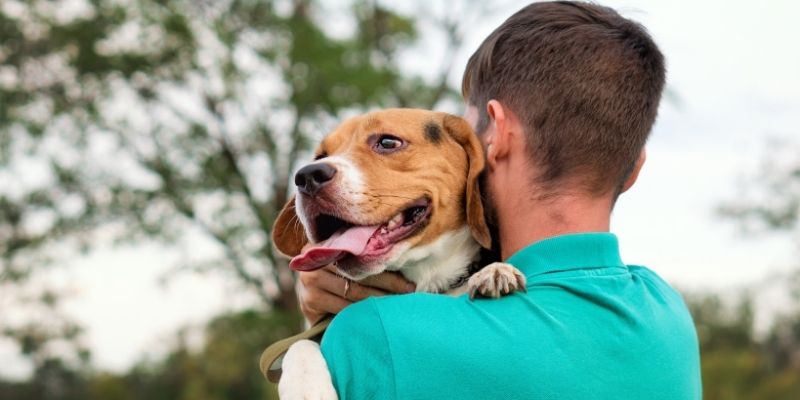A dog looking tense while being hugged by its owner illustrating emotional entanglement in dogs