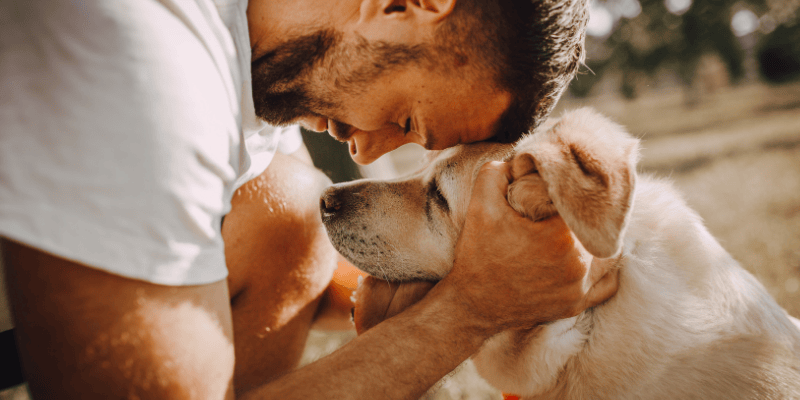 A man and a dog leaning their heads against each other representing dogs and the spiritual bond between souls