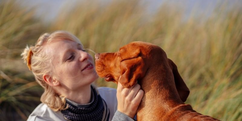 A dog looking at its owner with trust as a symbol of true connection and love beyond consumerism