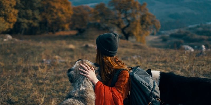 A woman sitting next to a dog in nature, both observing the horizon in silence, symbolizing the healing of dog childhood trauma