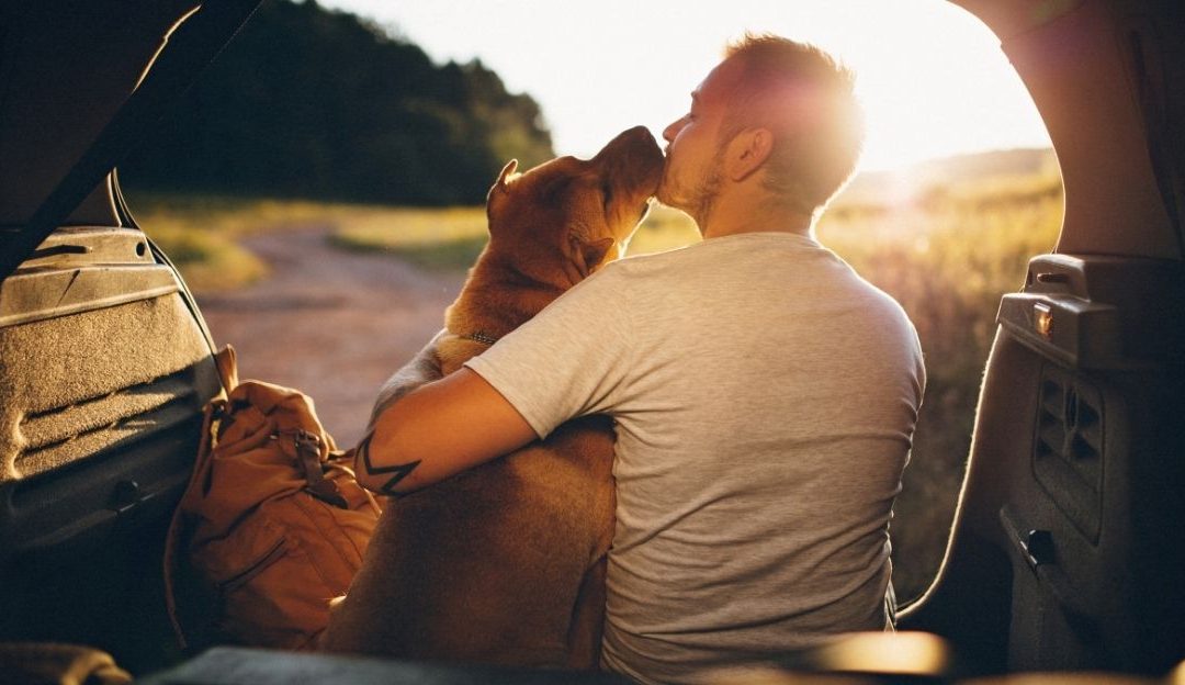 A Dog Didn’t Come to Be Your Pet, but to Change Your Life