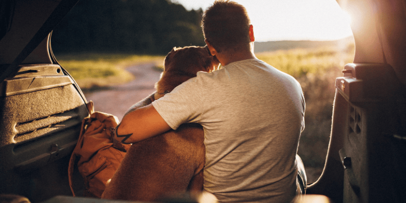 A human and a dog leaning on each other, a symbol of unconditional love and healing