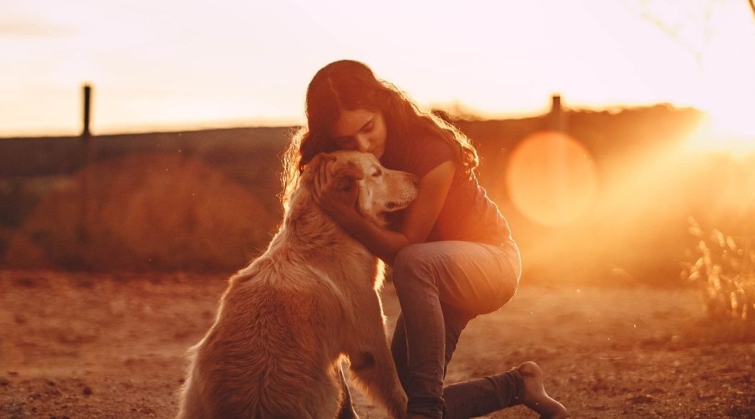 A soulful gaze between a dog and its owner illustrating dogs and the spiritual bond that heals grief