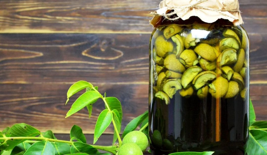 Walnut Tincture for Dogs: A Natural Parasite Cleanse Protocol