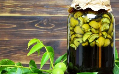 Walnut Tincture for Dogs: A Natural Parasite Cleanse Protocol