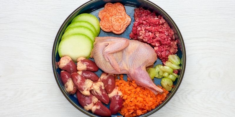 Natural dog nutrition to stop itching and restore internal balanc