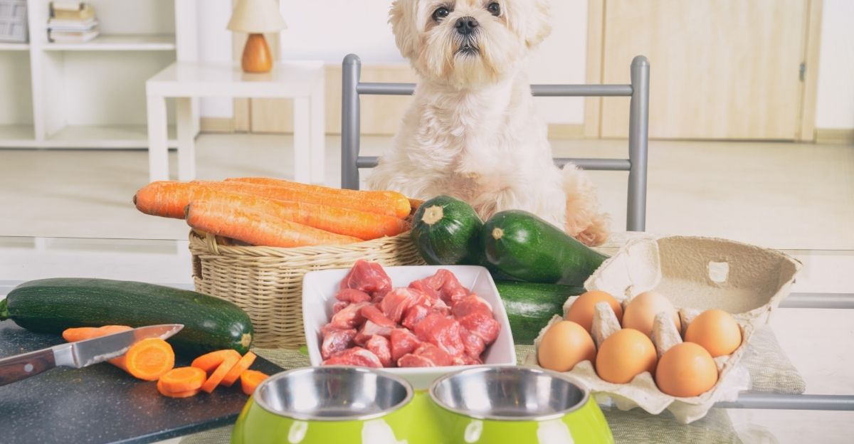 Homemade dog food served in a bowl on a kitchen table, explaining why I do not produce dog food and why home-cooked meals are better
