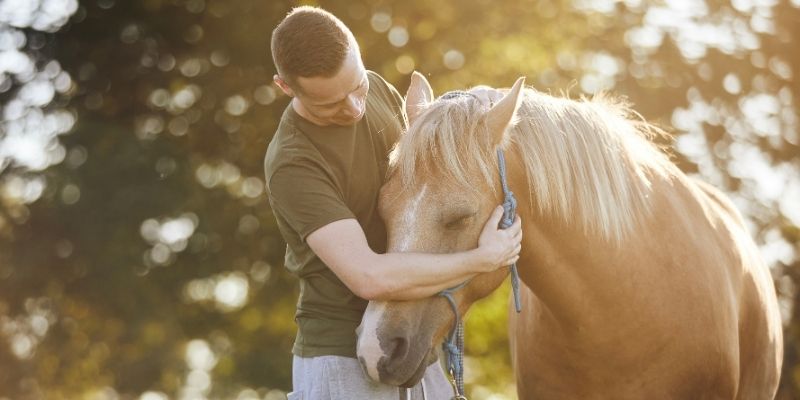 Horses and the culture of conflict in relationships reflecting pure emotional connection