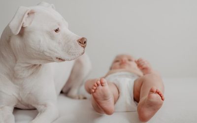 The Dog and Childhood Trauma: When Love Hurts in Silence