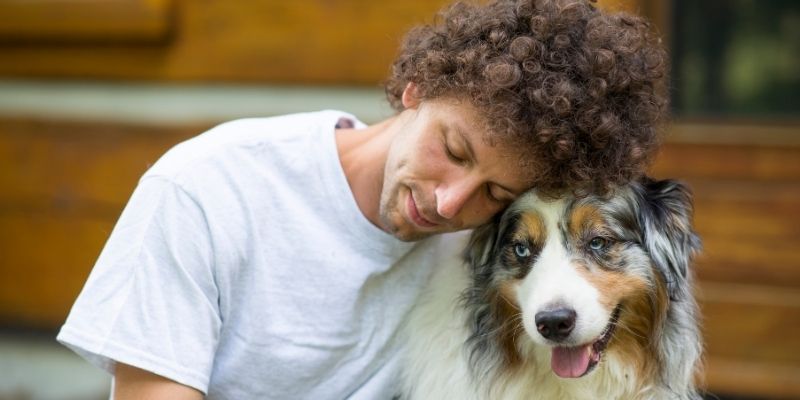 A dog sensing suffering as a path within the human relationship, acting as an emotional mirror