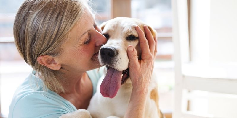 Owner cleaning red tears in dogs for better hygiene and emotional suppor