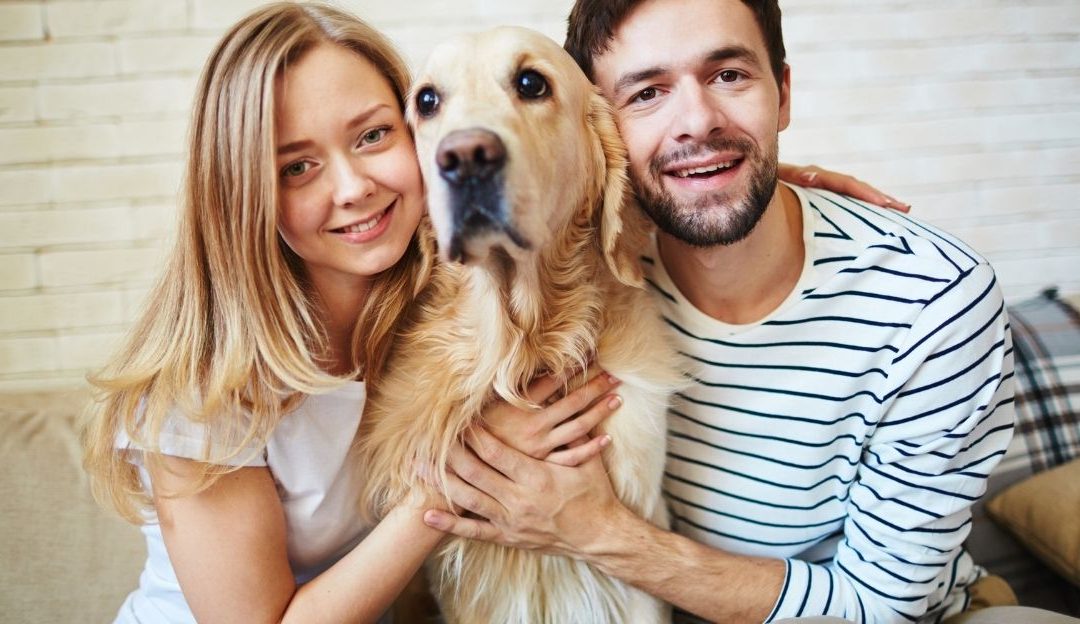 Chronic Stress in Dogs: Confusion, Illness, and Silent Signals