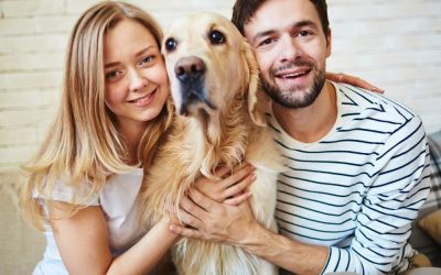 Chronic Stress in Dogs: Confusion, Illness, and Silent Signals