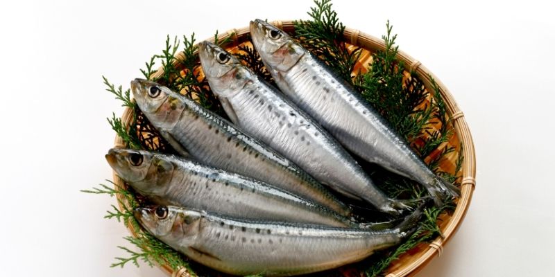 Fresh sardines prepared as a healthy addition to a dog's meal