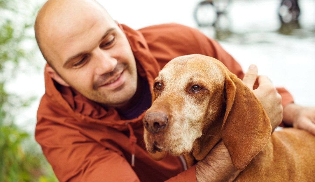 Why Dogs Touch the Places Where It Hurts the Most