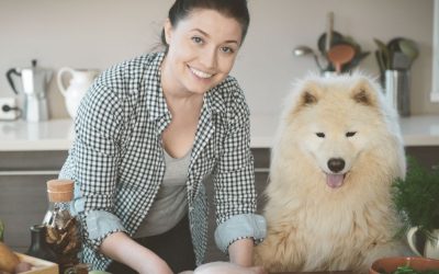Why I Do Not Produce Dog Food and Treats