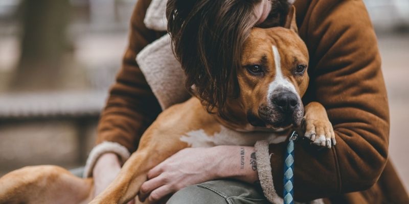 A human and dog hugging to symbolize a healing affective bond, illustrating why dogs touch the places where it hurts