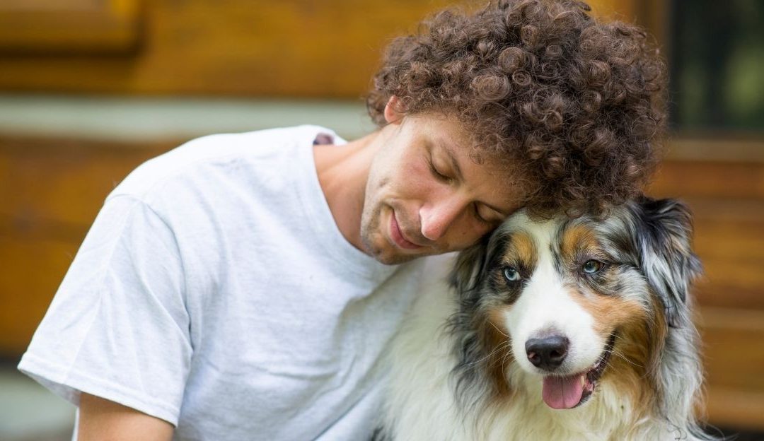 An owner showing responsibility in the relationship with their dog