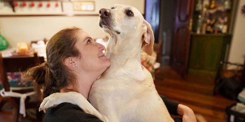 A dog curled up while the owner over-hugs it, showing signs of discomfort and explaining why dogs become anxious