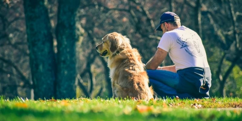 Facing oneself through the relationship with a dog reflecting how dogs bring happiness and a sense of peace