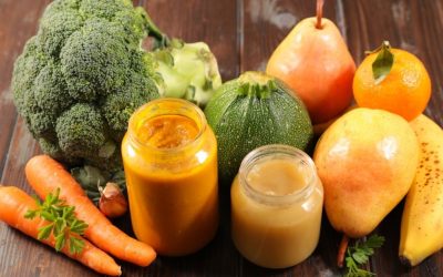 Commercial Dog Food: Comfort for Humans, Limitation for Dogs