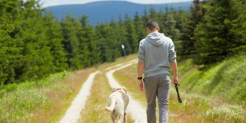 A stable relationship and adult love toward a dog through setting boundaries, illustrating leadership and emotional security