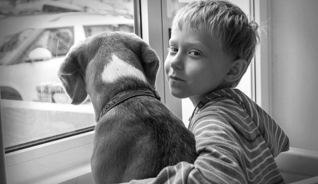 The Silence That Screams: Are We Leaving Our Unlived Wounds to Children and Dogs?