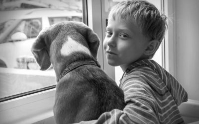 The Silence That Screams: Are We Leaving Our Unlived Wounds to Children and Dogs?