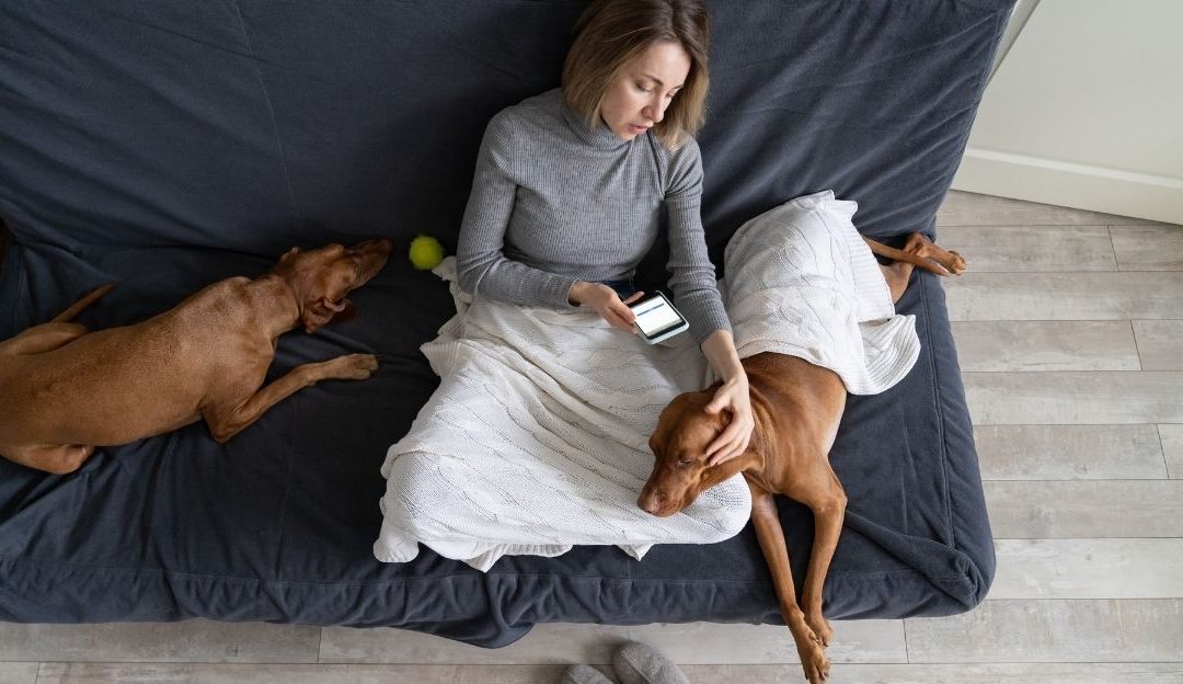 Illness in Pets as a Mirror of Our Lives: The Story of Marija and Jacky