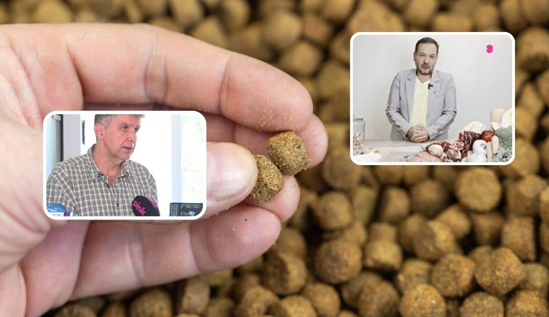Dog Kibble: Would You Eat a Pellet or a Drumstick?