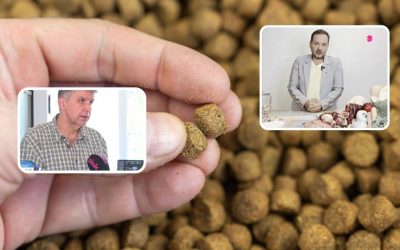 Dog Kibble: Would You Eat a Pellet or a Drumstick?