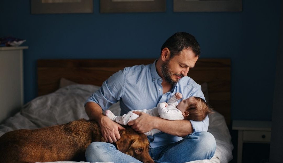 Dog and baby with clearly defined boundaries for safety
