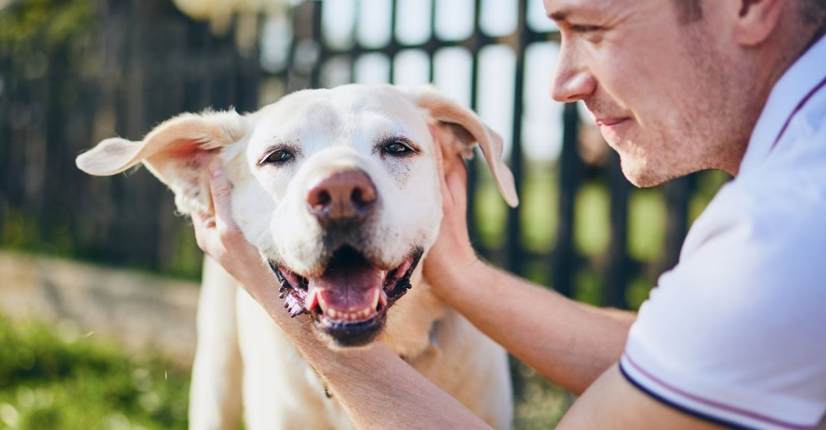 Dog and owner interacting highlighting that a dog is not a toy and how to properly care for a dog through responsibility