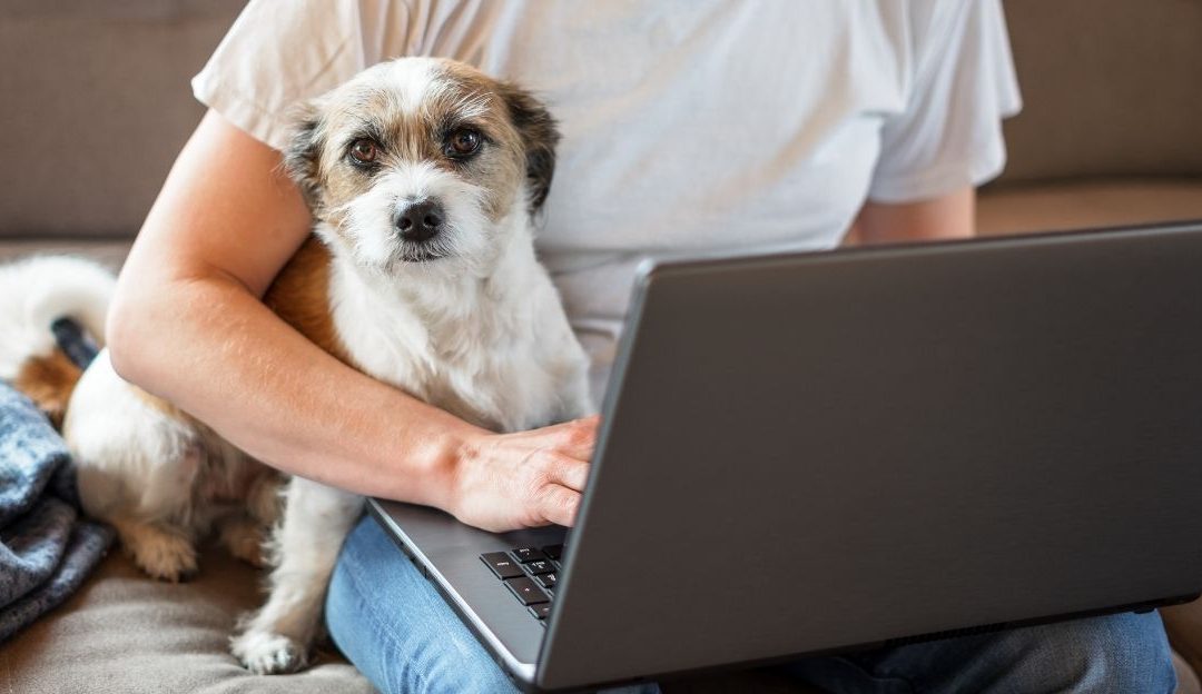 Have You Downloaded the Guide? What Happens When Doubt Defeats Practice