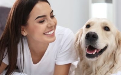 A Dog Is Not a Toy: How to Properly Care for a Dog
