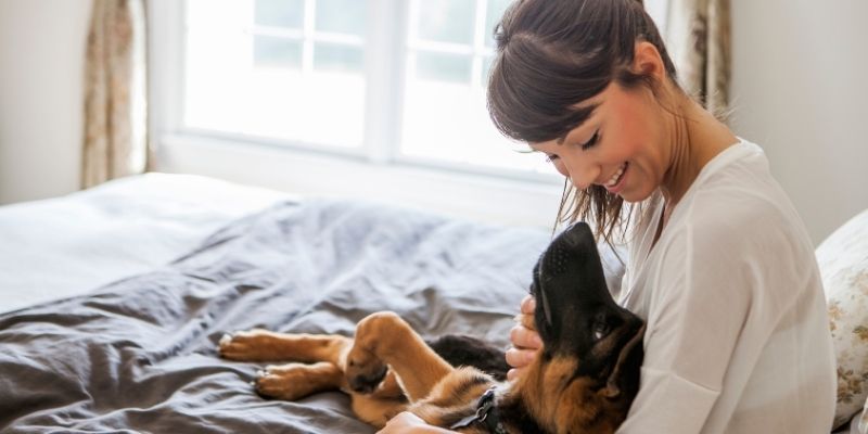Life with a dog based on the present moment and balance illustrating harmony between human and dog