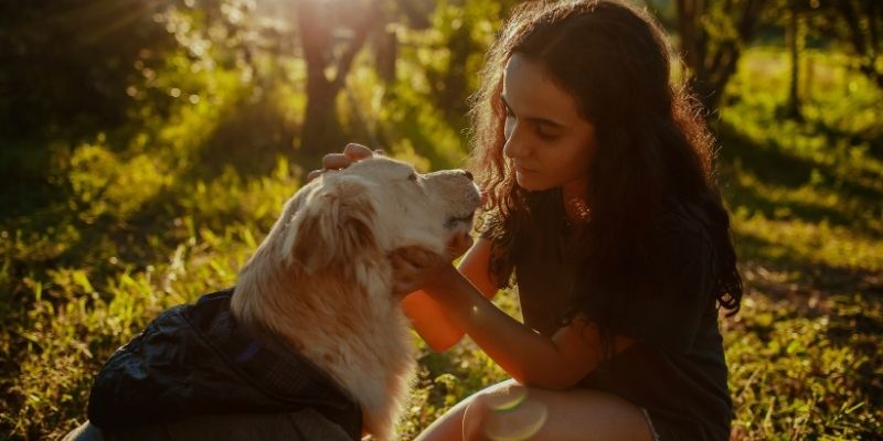 A dog and its owner in a calm interaction reflecting a stable environment.