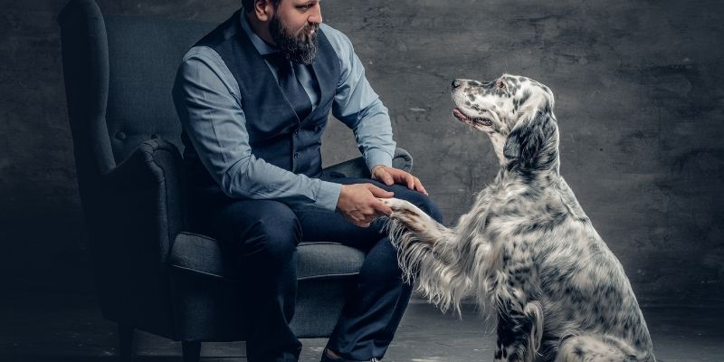 A stable and calm human providing support to a female dog