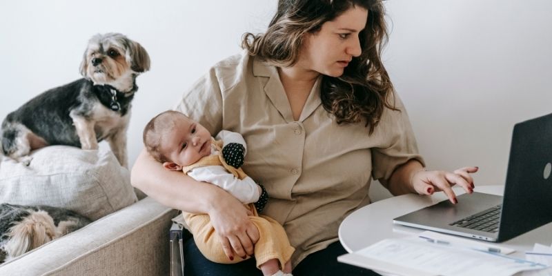 The right role of dog and baby for a stable family home.