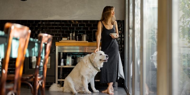 A peaceful dog sitting calmly next to an aligned owner who is practicing mindful presence and pureloveandharmony