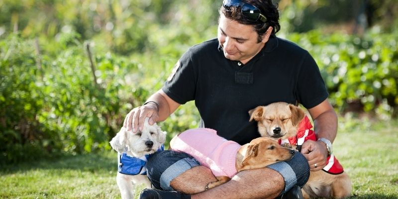 A calm owner gently comforting a relaxed dog to prevent how stress triggers dog illness
