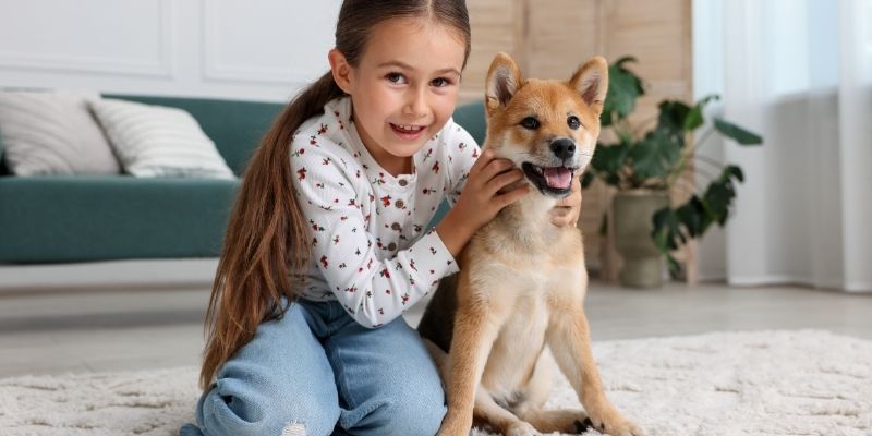 A dog standing on a flat surface with properly trimmed nails that do not touch the ground.