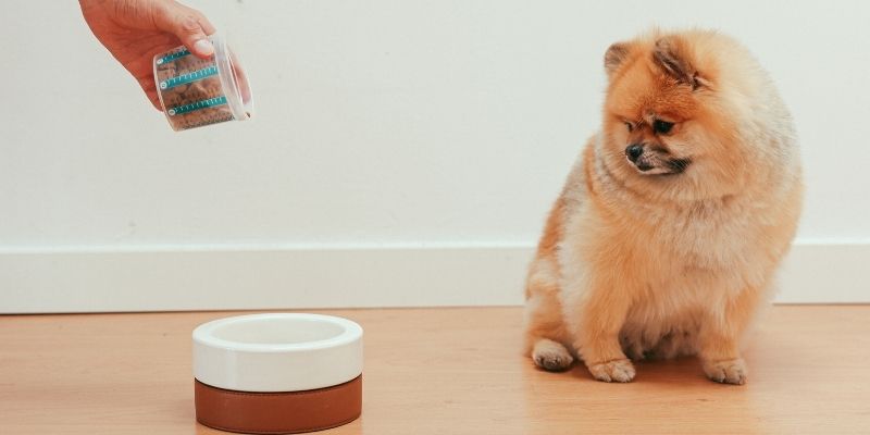 A selection of raw whole proteins for dogs showing pureloveandharmony and ancestral nutrition