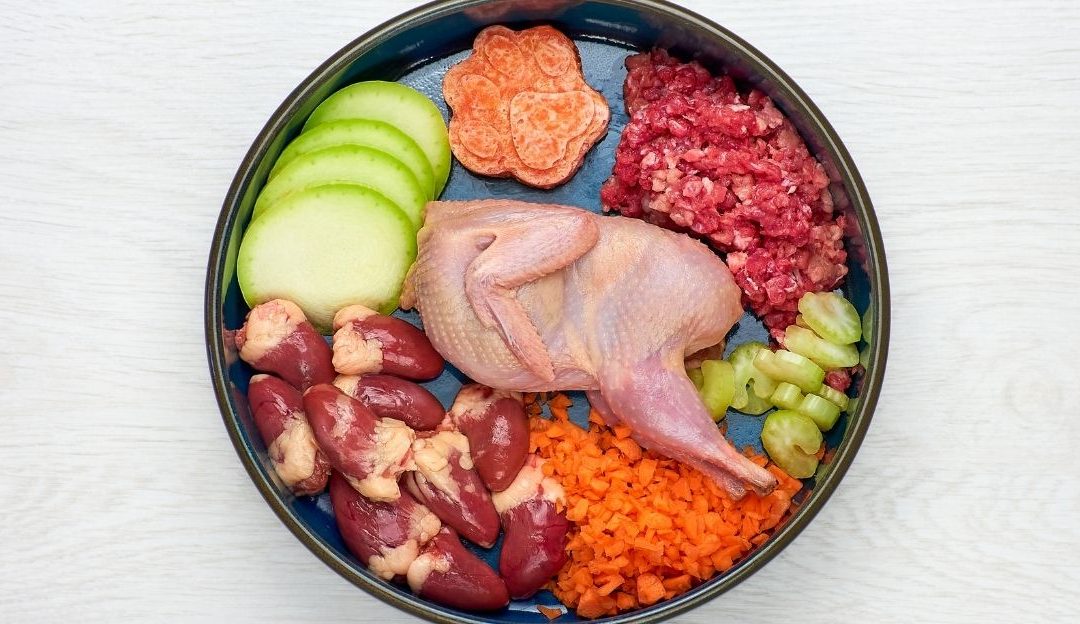 Pieces of fresh meat, fat, pork in a bowl, ready to prepare a healthy meal for the dog.