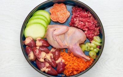 How to Overcome Allergies in Dogs: Food You Would Eat Yourself
