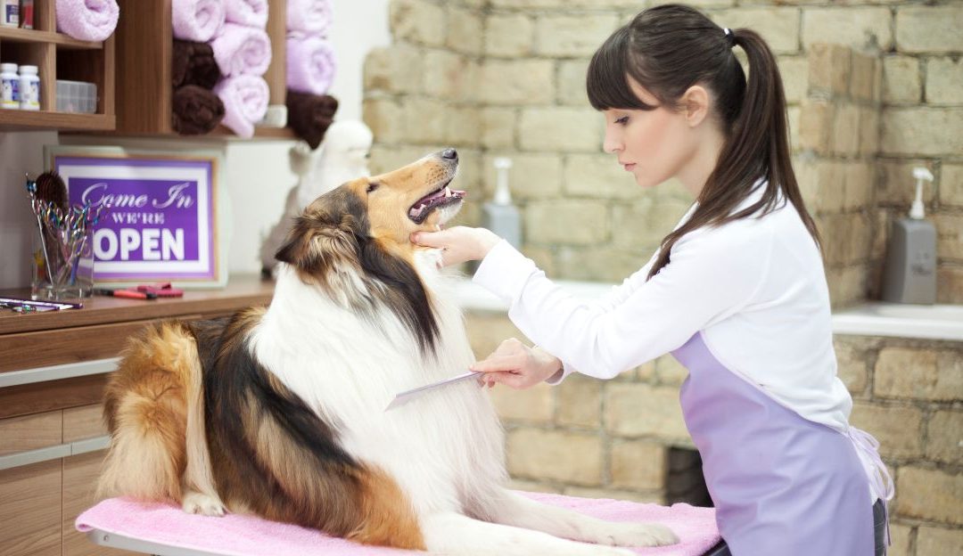 Is This the End of Grooming as We Know It?