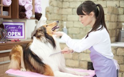 Is This the End of Grooming as We Know It?